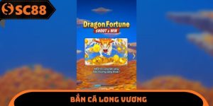 Bắn Cá Long Vương SC88 - Vũ Khí Tối Ưu Nên Cân Nhắc Sử Dụng