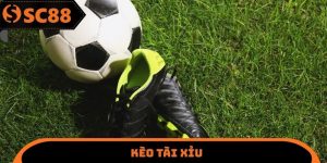 Kèo Tài Xỉu SC88 - Cách Giành Lấy Chiến Thắng Cuối Cùng