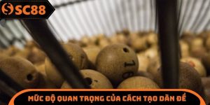Cách Tạo Dàn Đề - Hiểu Rõ Về Chiến Thuật Cá Cược